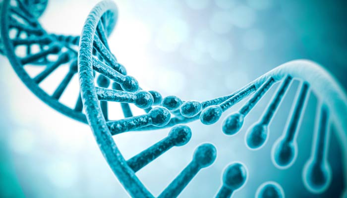 Gdzie wykorzystywany jest Digital Signage – medycyna